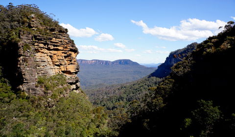 Leura Cascades Fern Bower - Sunshine Coast Tourism 1