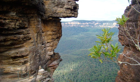 Three Sisters - Honeymoon Bridge - Holiday Sunshine Coast 0