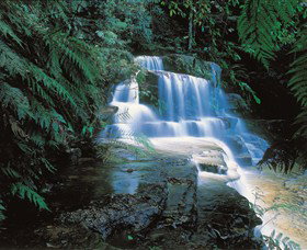  Sunshine Coast Tourism