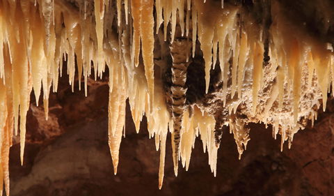 Wollondilly Cave - Sunshine Coast Tourism 1