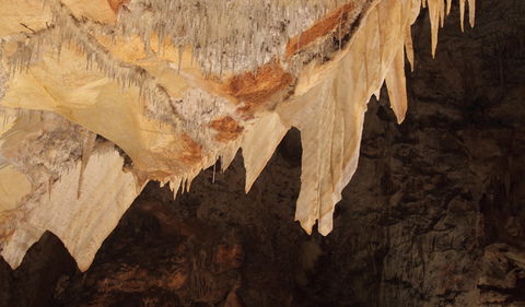Wollondilly Cave - Sunshine Coast Tourism 3