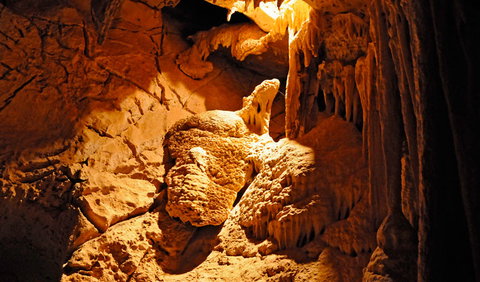 Fig Tree Cave - Holiday Sunshine Coast 0