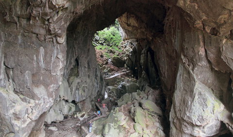 Fig Tree Cave - Holiday Sunshine Coast 1