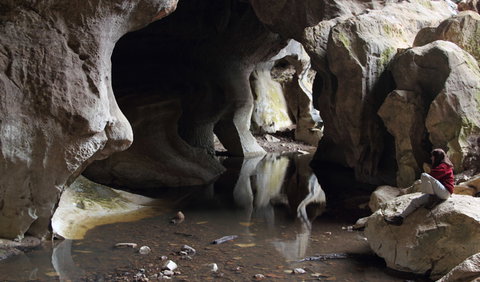 Fig Tree Cave - Holiday Sunshine Coast 2
