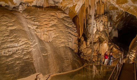 Junction Cave - Sunshine Coast Tourism 1