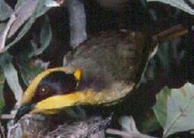 Tyers Park - Holiday Sunshine Coast 0