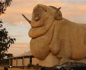 Big Merino - Holiday Sunshine Coast 3