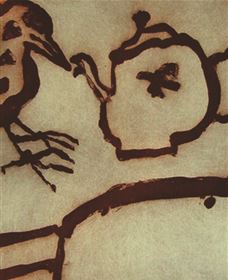 Falls Gallery - Holiday Sunshine Coast 7