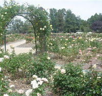 Victoria Park Rose Garden