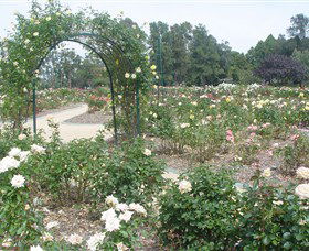 Victoria Park Rose Garden - Holiday Sunshine Coast 0