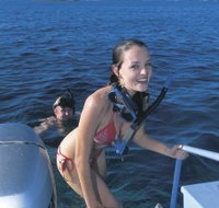 Seal Cove - Sunshine Coast Tourism