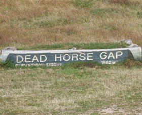 Dead Horse Gap - Holiday Sunshine Coast 0
