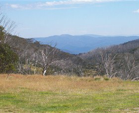 Dead Horse Gap - Holiday Sunshine Coast 1