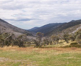 Dead Horse Gap - Holiday Sunshine Coast 2
