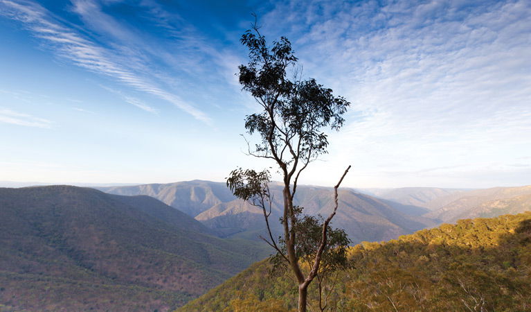 Mihi NSW Sunshine Coast Tourism