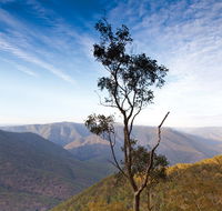 Salisbury Waters walking track - Sunshine Coast Tourism
