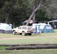 Landcruiser Mountain Park - Holiday Sunshine Coast