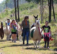 Ottaba Llamas