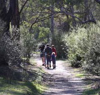Syd's Rapids and Aboriginal Heritage Trail Avon Valley - Sunshine Coast Tourism