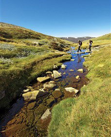 Australian Alps Walking Track - Sunshine Coast Tourism 0