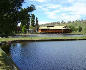 Gaden Trout Hatchery - Holiday Sunshine Coast 0