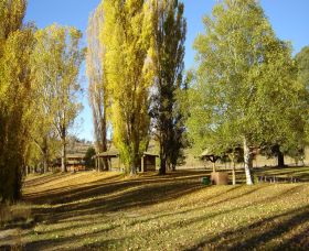 Gaden Trout Hatchery - Holiday Sunshine Coast 1