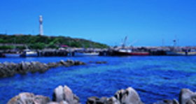 King Island TAS Sunshine Coast Tourism