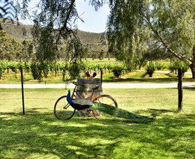Stomp! Wines - Holiday Sunshine Coast 3