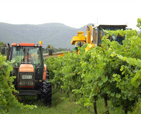 Stomp! Wines - Holiday Sunshine Coast 8