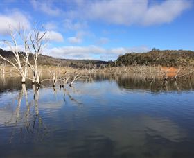 Lake Eucumbene - Holiday Sunshine Coast 1