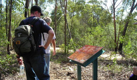 Finchley Cultural Walk - Holiday Sunshine Coast 0