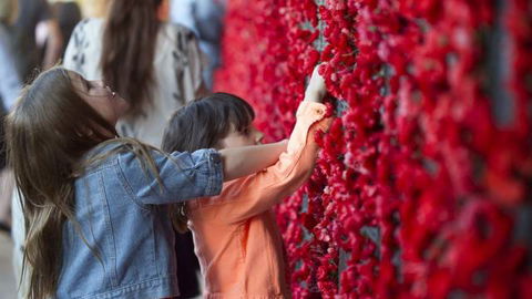 Australian War Memorial - Sunshine Coast Tourism 5