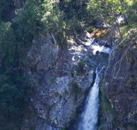 Lyrebird Falls walking track - Sunshine Coast Tourism