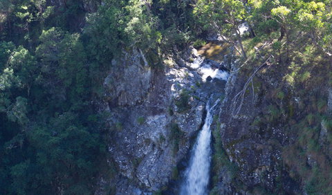 Lyrebird Falls Walking Track - Sunshine Coast Tourism 0