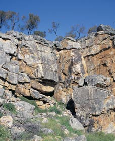 Badgingarra Nature Trail - Sunshine Coast Tourism 0