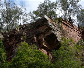 Mitchell River Walking Track - Sunshine Coast Tourism 2