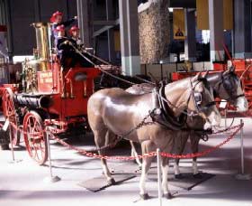 Museum Of Fire - Holiday Sunshine Coast 0