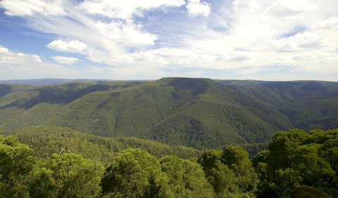 Barrington Tops National Park - Sunshine Coast Tourism 0