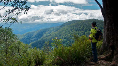 Barrington Tops National Park - Sunshine Coast Tourism 3