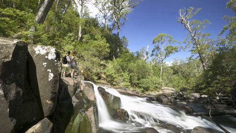 Barrington Tops National Park - Sunshine Coast Tourism 2