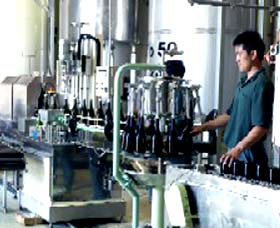 Sun Masamune Sake Brewery - Holiday Sunshine Coast 2