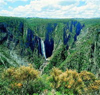 Wollomombi Falls - Holiday Sunshine Coast