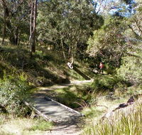 Wollomombi walking track - Holiday Sunshine Coast