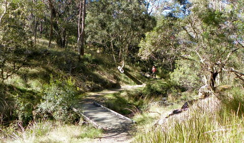 Wollomombi Walking Track - Holiday Sunshine Coast 0