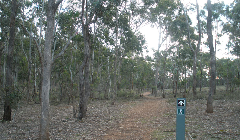  Sunshine Coast Tourism