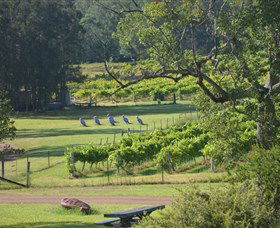 Wollombi Wines - Sunshine Coast Tourism 8