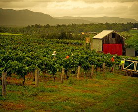 Around Hermitage Wine And Food Trail Hunter Valley - Holiday Sunshine Coast 0