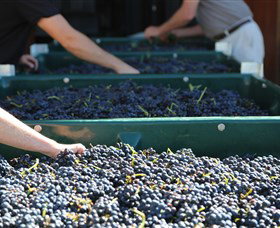 Around Hermitage Wine And Food Trail Hunter Valley - Holiday Sunshine Coast 6