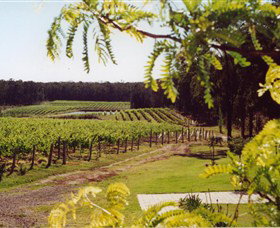 Tintilla Estate - Sunshine Coast Tourism 0
