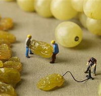 Hunter Valley Wine School